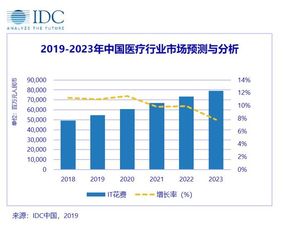 中國醫療行業互聯網技術市場預測報告 互聯網技術服務的崛起與未來展望